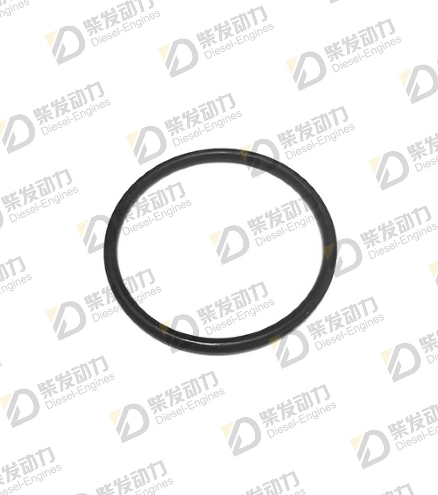 O-ring